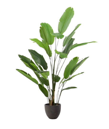 Plante artificielle Bananier